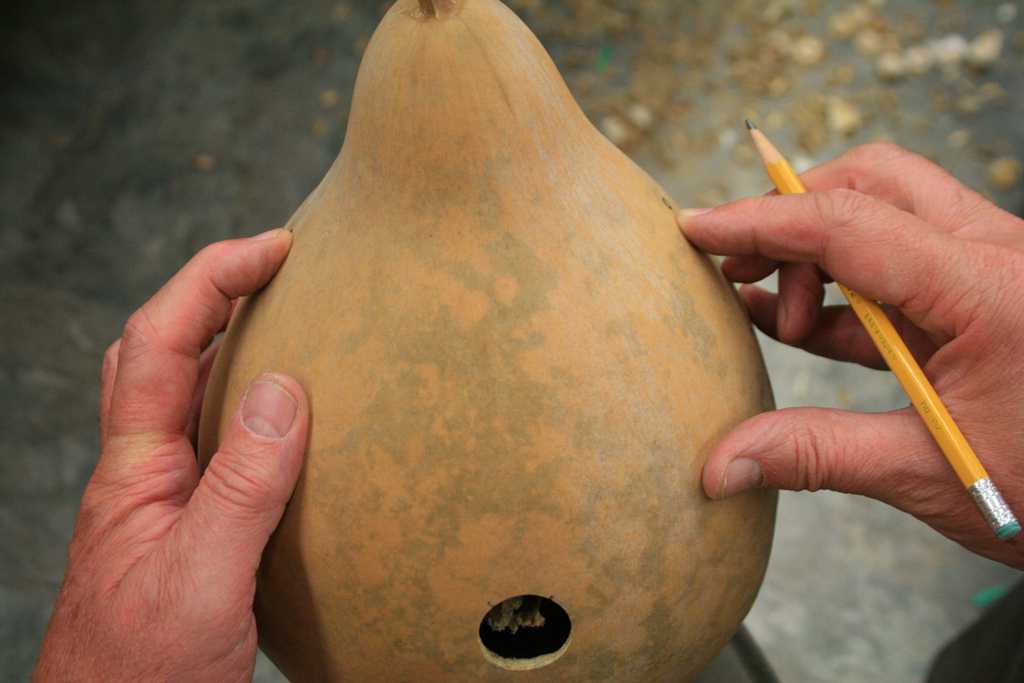 Creating a Gourd Birdhouse